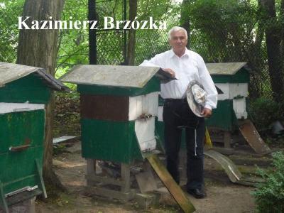 Brzózka Kazimierz
