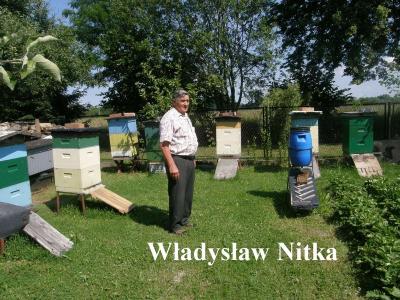 Nitka Władysław